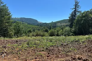 0 Kalama River Rd, Kalama, WA 98625 - Photo 1