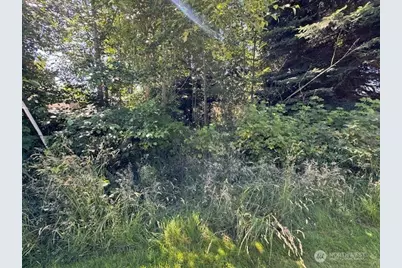 43 E Sycamore Road, Coupeville, WA 98239 - Photo 3