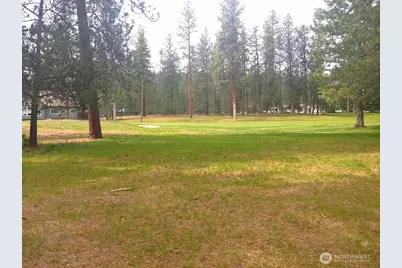 183 E Trappers Loop, Chewelah, WA 99109 - Photo 3