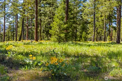 161 Plateau Loop, Cle Elum, WA 98922 - Photo 7