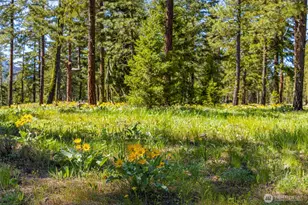 161 Plateau Loop, Cle Elum, WA 98922 - Photo 7