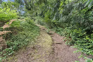 1130 E Phillips Lake Rd, Shelton, WA 98584 - Photo 19