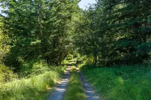 2783 Orcas Rd, Orcas Island, WA 98245 - Photo 5