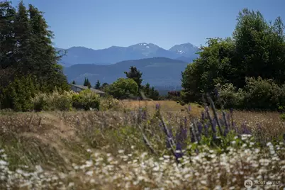 503 Roberson Road, Sequim, WA 98382 - Photo 3