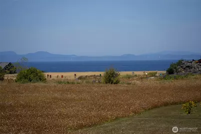 503 Roberson Road, Sequim, WA 98382 - Photo 5