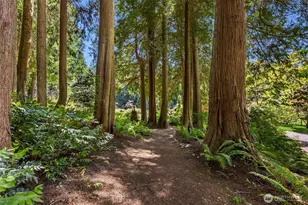 9631 Summer Hill Ln NE, Bainbridge Island, WA 98110 - Photo 23