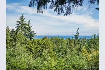 352 Woodland Drive, Sequim, WA 98382 - Photo 31