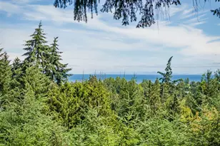 352 Woodland Dr, Sequim, WA 98382 - Photo 31