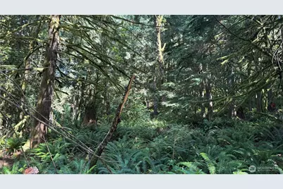 44701 SE Edgewick Road, North Bend, WA 98045 - Photo 7