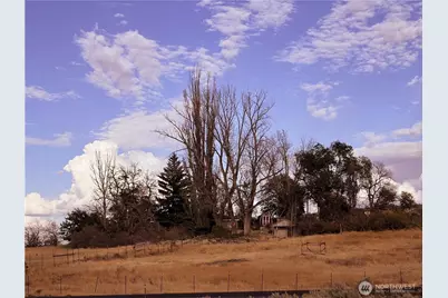 4434 State Route 21, Odessa, WA 99159 - Photo 11