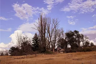 4434 State Route 21, Odessa, WA 99159 - Photo 11