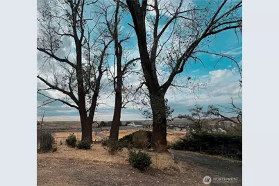 4434 State Route 21, Odessa, WA 99159 - Photo 19