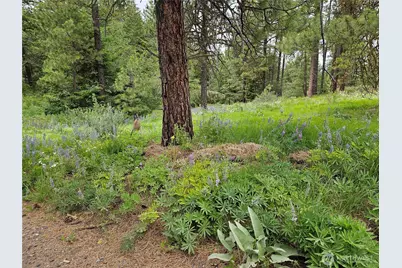 0 Muledeer Road, East Wenatchee, WA 98802 - Photo 13