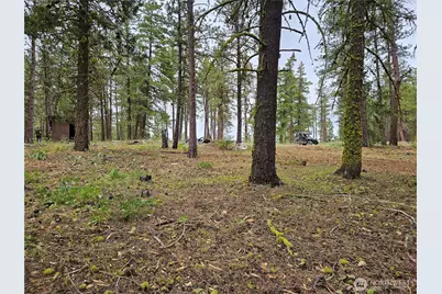 0 Muledeer Road, East Wenatchee, WA 98802 - Photo 21