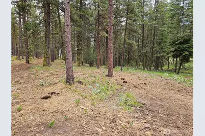 0 Muledeer Road, East Wenatchee, WA 98802 - Photo 23