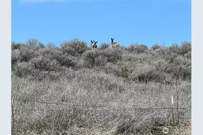 1411 Kellogg Hallow Road, Dayton, WA 99328 - Photo 21