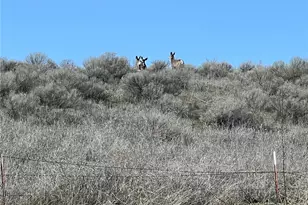 1411 Kellogg Hallow Rd, Dayton, WA 99328 - Photo 21