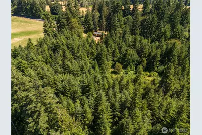 316 Leudinghaus Road, Chehalis, WA 98532 - Photo 15