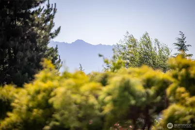 50 Steve Place, Sequim, WA 98382 - Photo 37