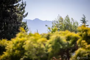 50 Steve Pl, Sequim, WA 98382 - Photo 37