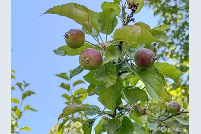 77 A Road Less Traveled, Sequim, WA 98382 - Photo 39