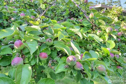 864 Saratoga Way, Camano Island, WA 98282 - Photo 21