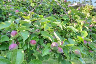 864 Saratoga Way, Camano Island, WA 98282 - Photo 21