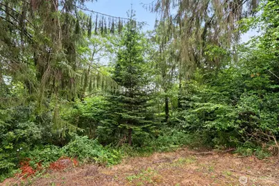 932 Minnesota Street, South Bend, WA 98586 - Photo 37