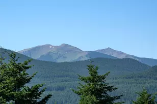 2263 Lost Mountain Rd, Sequim, WA 98382 - Photo 7