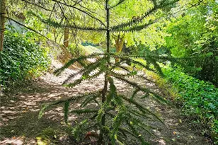 701 NE 117th St, Vancouver, WA 98685 - Photo 31