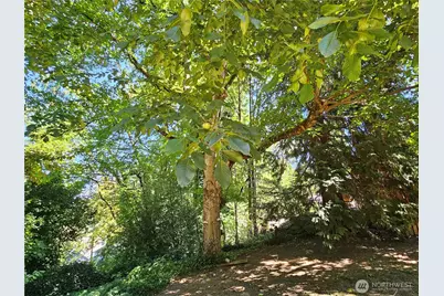 701 NE 117th Street, Vancouver, WA 98685 - Photo 27