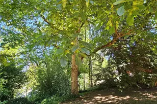 701 NE 117th St, Vancouver, WA 98685 - Photo 27