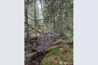 0 Xx Mountain Loop Highway, Granite Falls, WA 98252 - Photo 5
