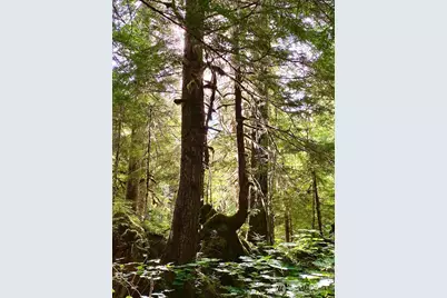 0 Xx Mountain Loop Highway, Granite Falls, WA 98252 - Photo 11