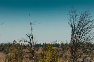 6223 Ebbert Dr SE, Port Orchard, WA 98367 - Photo 35