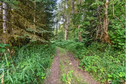 841 W Main, Morton, WA 98356 - Photo 23