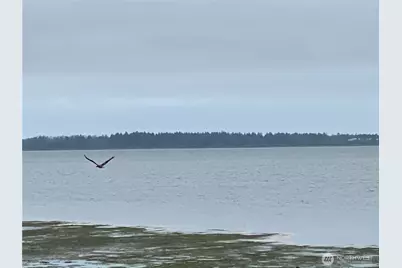 1970 State Route 105, Aberdeen, WA 98520 - Photo 39