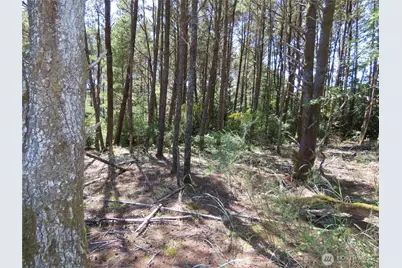 0 Surf Street, Westport, WA 98595 - Photo 5