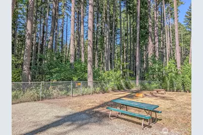 254 Mountain View Drive, Packwood, WA 98361 - Photo 23