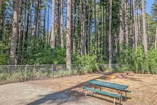 254 Mountain View Dr, Packwood, WA 98361 - Photo 23