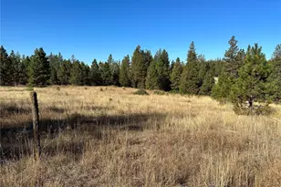 0 Three Mountains Meadows, Goldendale, WA 98620 - Photo 1