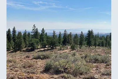 0 Three Mountains Meadows, Goldendale, WA 98620 - Photo 11