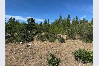 0 Three Mountains Meadows, Goldendale, WA 98620 - Photo 5