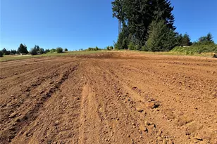 200 Lot C Fineview, Chehalis, WA 98532 - Photo 29