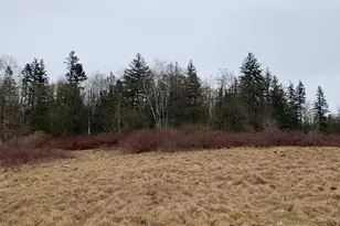 9924 Markworth Rd, Lynden, WA 98264 - Photo 15