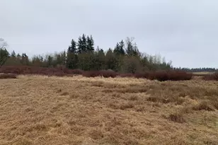 9924 Markworth Rd, Lynden, WA 98264 - Photo 13