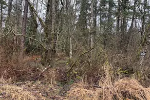 9924 Markworth Rd, Lynden, WA 98264 - Photo 13