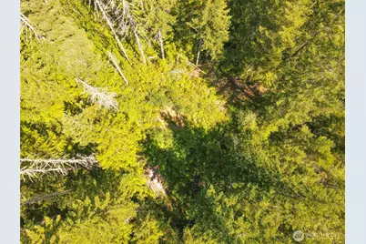 0 N Robinson Road, Hoodsport, WA 98548 - Photo 3