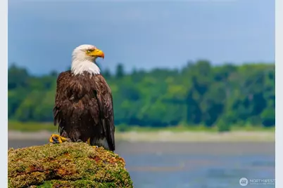 9525 Semiahmoo Parkway #A204, Blaine, WA 98230 - Photo 37