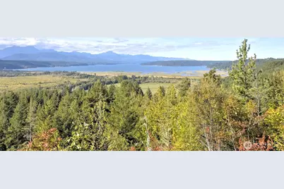 12 Acres Webb Hill Road, Union, WA 98592 - Photo 13